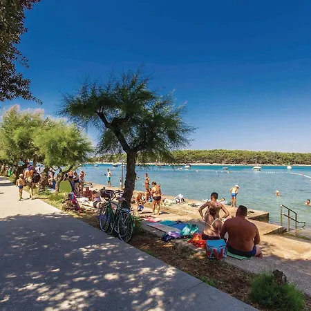 Apartment Lovely Apartment In Punat With Swimming Pool Punat